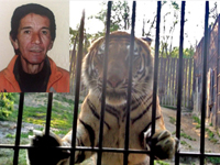 Non ci sono responsabili per la morte della tigre Samir